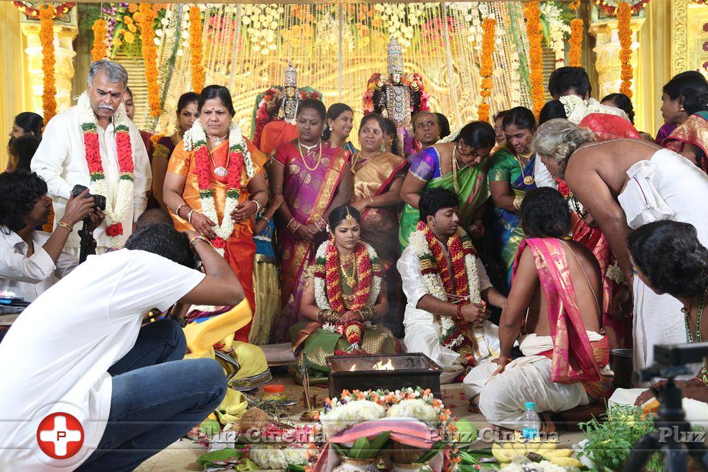 Actor Pandiarajan Son Pallavarajan Wedding Photos | Picture 877740