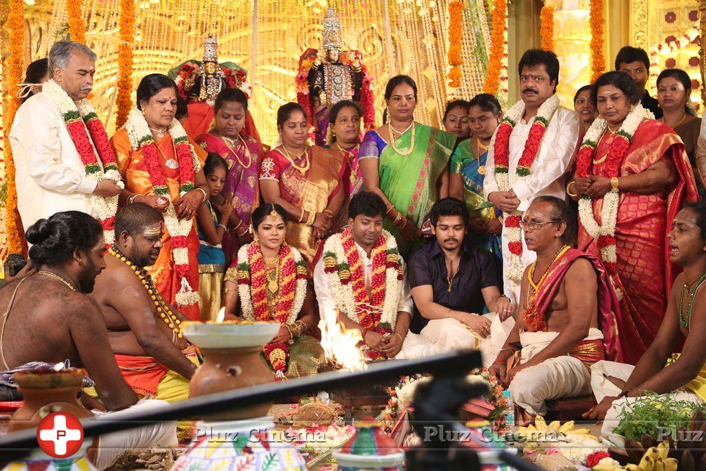 Actor Pandiarajan Son Pallavarajan Wedding Photos | Picture 877749