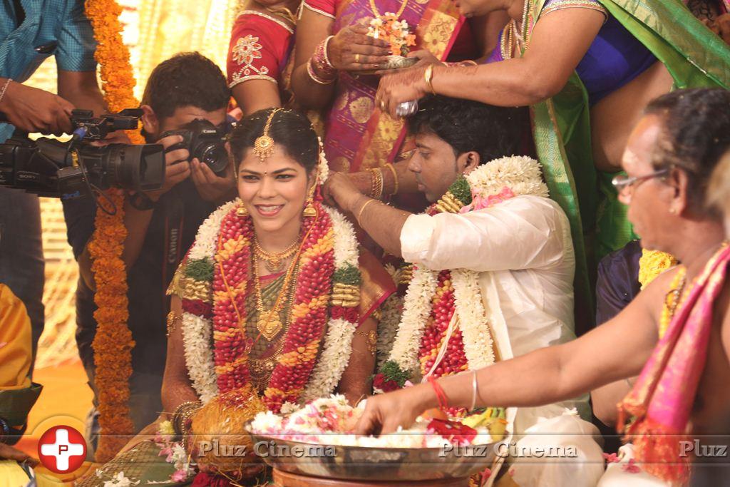 Actor Pandiarajan Son Pallavarajan Wedding Photos | Picture 877756