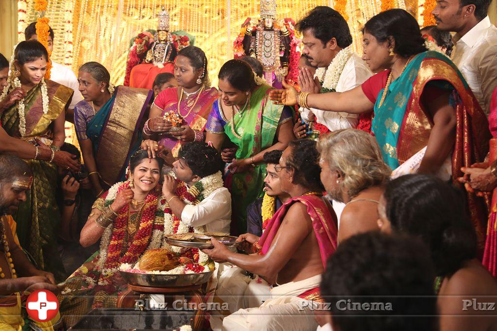 Actor Pandiarajan Son Pallavarajan Wedding Photos | Picture 877759