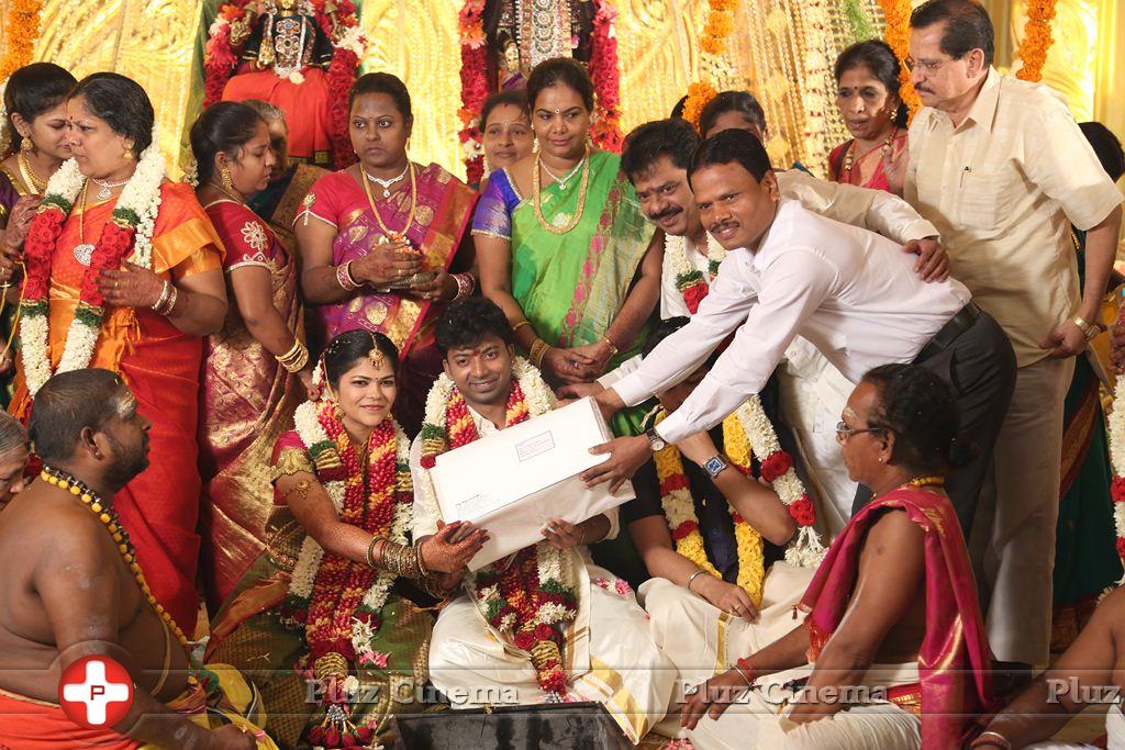Actor Pandiarajan Son Pallavarajan Wedding Photos | Picture 877764