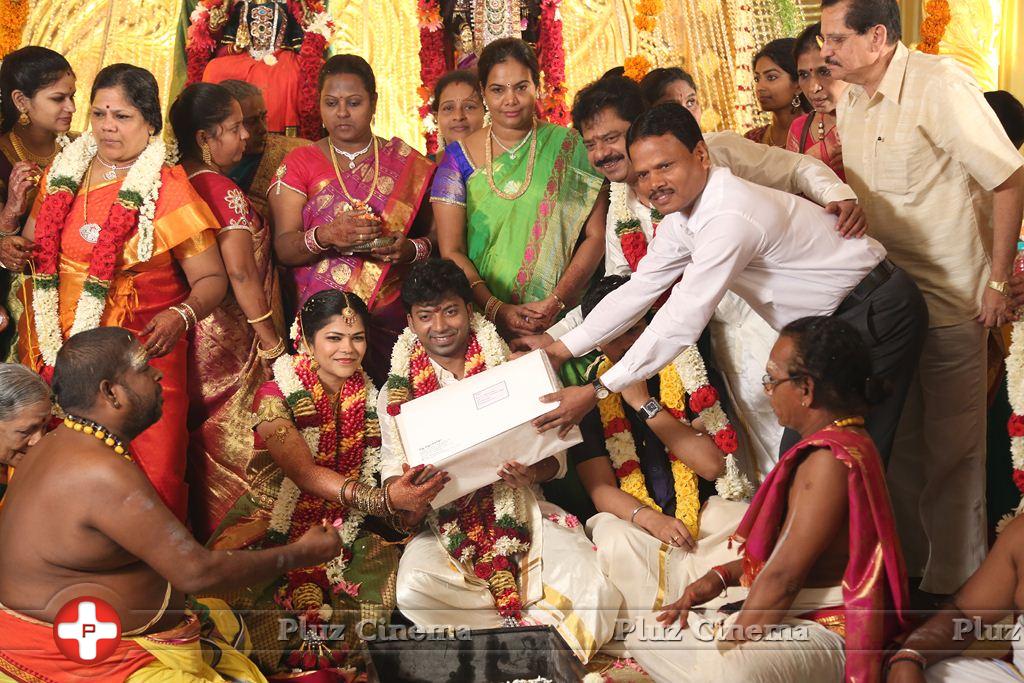 Actor Pandiarajan Son Pallavarajan Wedding Photos | Picture 877765
