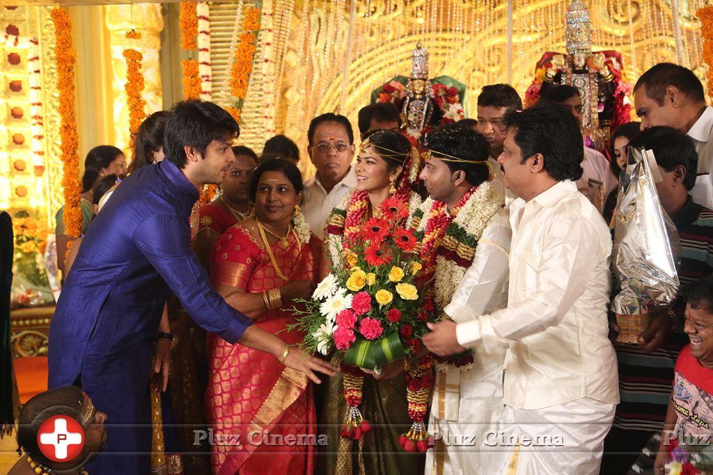 Actor Pandiarajan Son Pallavarajan Wedding Photos | Picture 877793