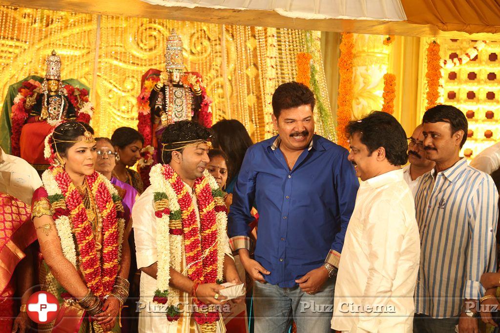 Actor Pandiarajan Son Pallavarajan Wedding Photos | Picture 877802