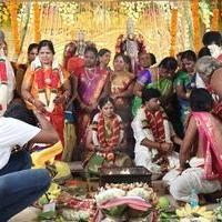 Actor Pandiarajan Son Pallavarajan Wedding Photos | Picture 877740