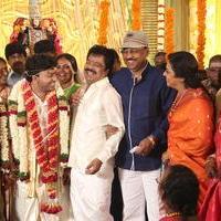 Actor Pandiarajan Son Pallavarajan Wedding Photos | Picture 877774