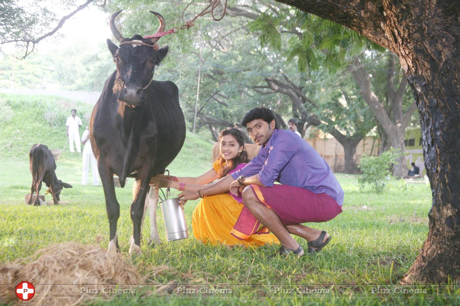 Vellakkara Durai Movie Latest Stills | Picture 877183