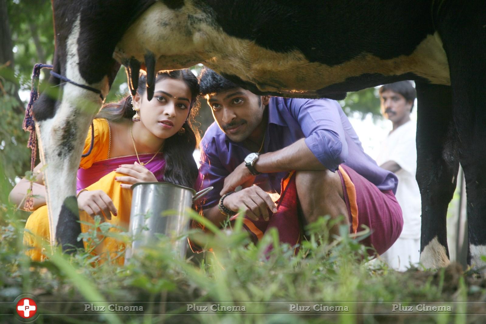 Vellakkara Durai Movie Latest Stills | Picture 877186
