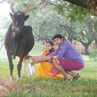 Vellakkara Durai Movie Latest Stills | Picture 877183