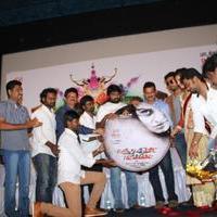 1Pandhu 4Run 1Wicket Movie Audio Launch Photos | Picture 882192