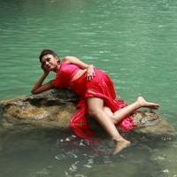 Oviya Helen - Sandamarutham Movie Photos | Picture 844040