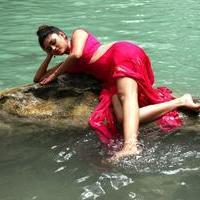 Oviya Helen - Sandamarutham Movie Photos | Picture 844047