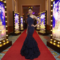 Deepika Padukone - Happy New Year Grand Premiere Show In Dubai Stills