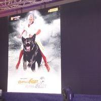 Motta Siva Ketta Siva and Naaga Movie Launch Stills | Picture 1086745