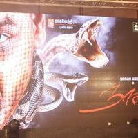 Motta Siva Ketta Siva and Naaga Movie Launch Stills | Picture 1086748