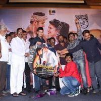 Selvandhan Movie Audio Launch Stills | Picture 1087372