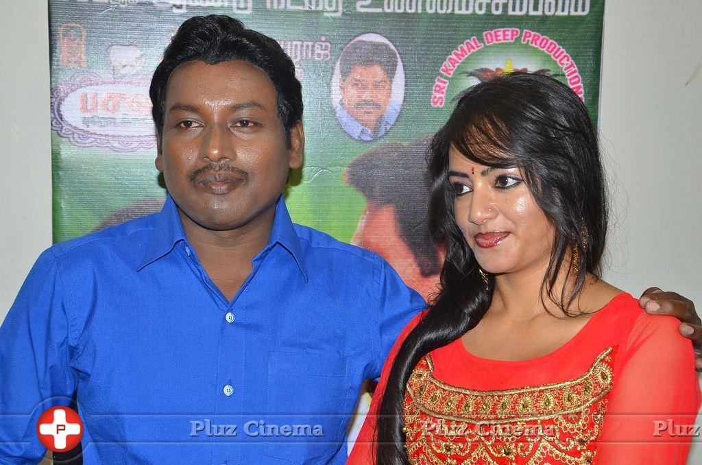 Baanu Movie Audio Launch Stills | Picture 1088902