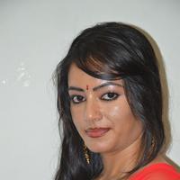 Baanu Movie Audio Launch Stills | Picture 1088905