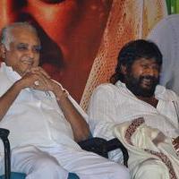 Baanu Movie Audio Launch Stills | Picture 1088916