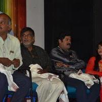 Baanu Movie Audio Launch Stills | Picture 1088925