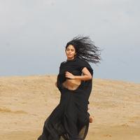 Sanyathara - Jigina Movie Latest Stills | Picture 1098155