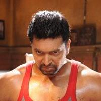 Jayam Ravi - Bhooloham Movie New Stills | Picture 1186430