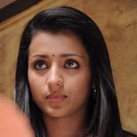 Trisha Krishnan - Bhooloham Movie New Stills | Picture 1186595