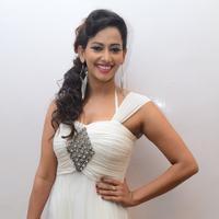 Sanjana Singh - V4 Entertainers Film Awards 2014 Photos