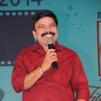 Powerstar Srinivasan - V4 Entertainers Film Awards 2014 Photos