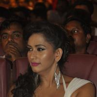 Sanjana Singh - 20th Bharath Cine Award 2014 Photos