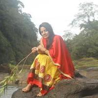 Pavani Reddy - Vajram Movie Photos | Picture 940442