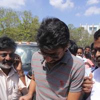 Udhayanidhi Stalin (Producer) - Tamil Film Producers Council Elections Photos | Picture 943757