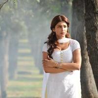 Shruti Haasan - Magadheera Movie Stills | Picture 1058827