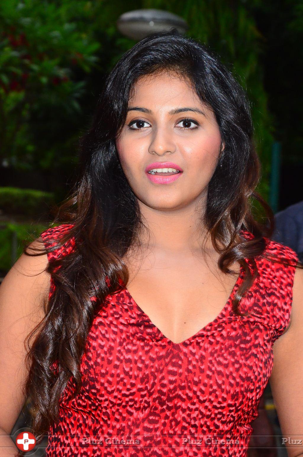 Anjali (Actress) - Sakalakala Vallavan Movie Press Meet Stills | Picture 1076234