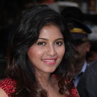 Anjali (Actress) - Sakalakala Vallavan Movie Press Meet Stills | Picture 1076387