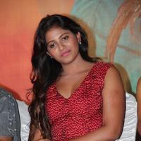 Anjali (Actress) - Sakalakala Vallavan Movie Press Meet Stills | Picture 1076480