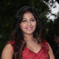 Anjali (Actress) - Sakalakala Vallavan Movie Press Meet Stills