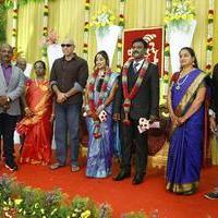 PRO Vijayamuralee Son Wedding Reception Stills | Picture 1043225