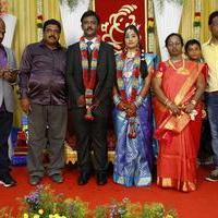PRO Vijayamuralee Son Wedding Reception Stills | Picture 1043226