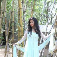 Hashika Dutt Latest Gallery | Picture 1050712