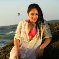 Nikesha Patel - Karaiooram Movie Stills | Picture 1052573