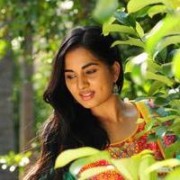 Srushti Dange - Navarasa Thilagam Movie Photos | Picture 1004075