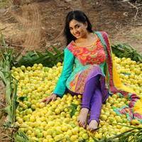 Srushti Dange - Navarasa Thilagam Movie Photos | Picture 1004078