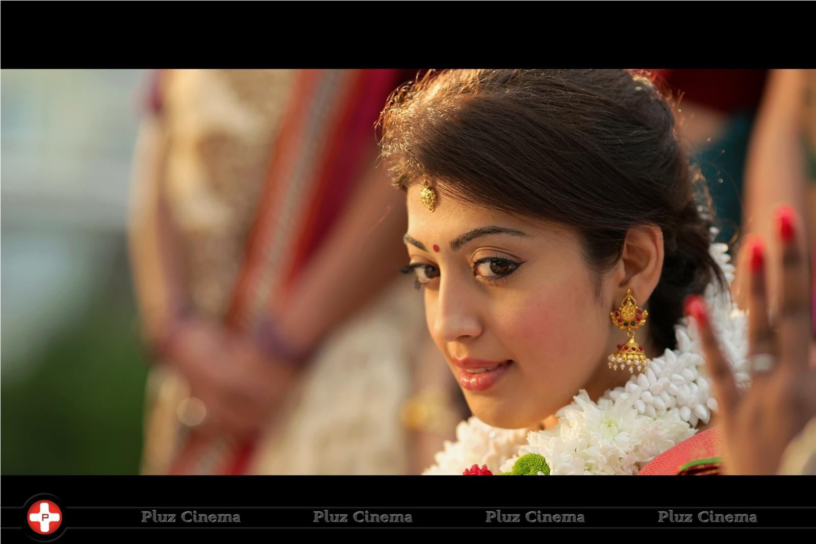 Pranitha - Masss Movie New Stills | Picture 1037838