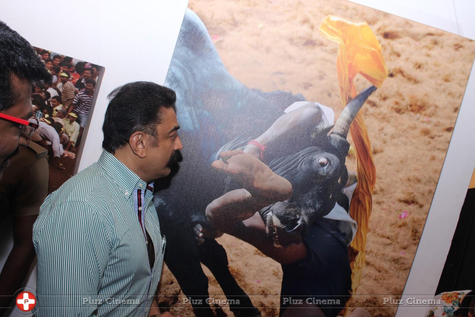 Kamal Haasan - Jallikattu (Veera Vilayattu) Photo Exhibition Opening Ceremony Stills | Picture 1150644