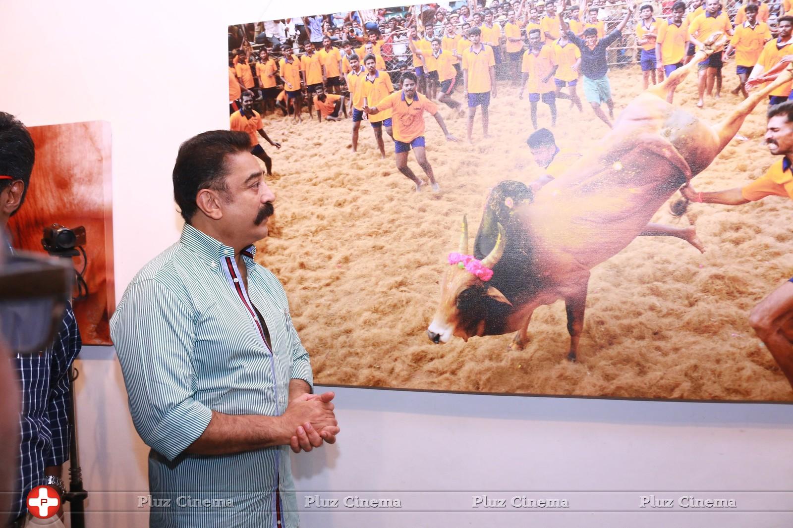 Kamal Haasan - Jallikattu (Veera Vilayattu) Photo Exhibition Opening Ceremony Stills | Picture 1150654