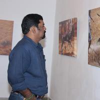 Jallikattu (Veera Vilayattu) Photo Exhibition Opening Ceremony Stills