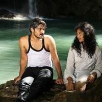 Aaranyam Movie Gallery | Picture 1158505