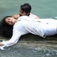 Aaranyam Movie Gallery | Picture 1158507