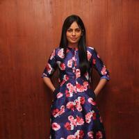 Nandita Swetha - Anjala Movie Audio Launch Photos | Picture 1162097